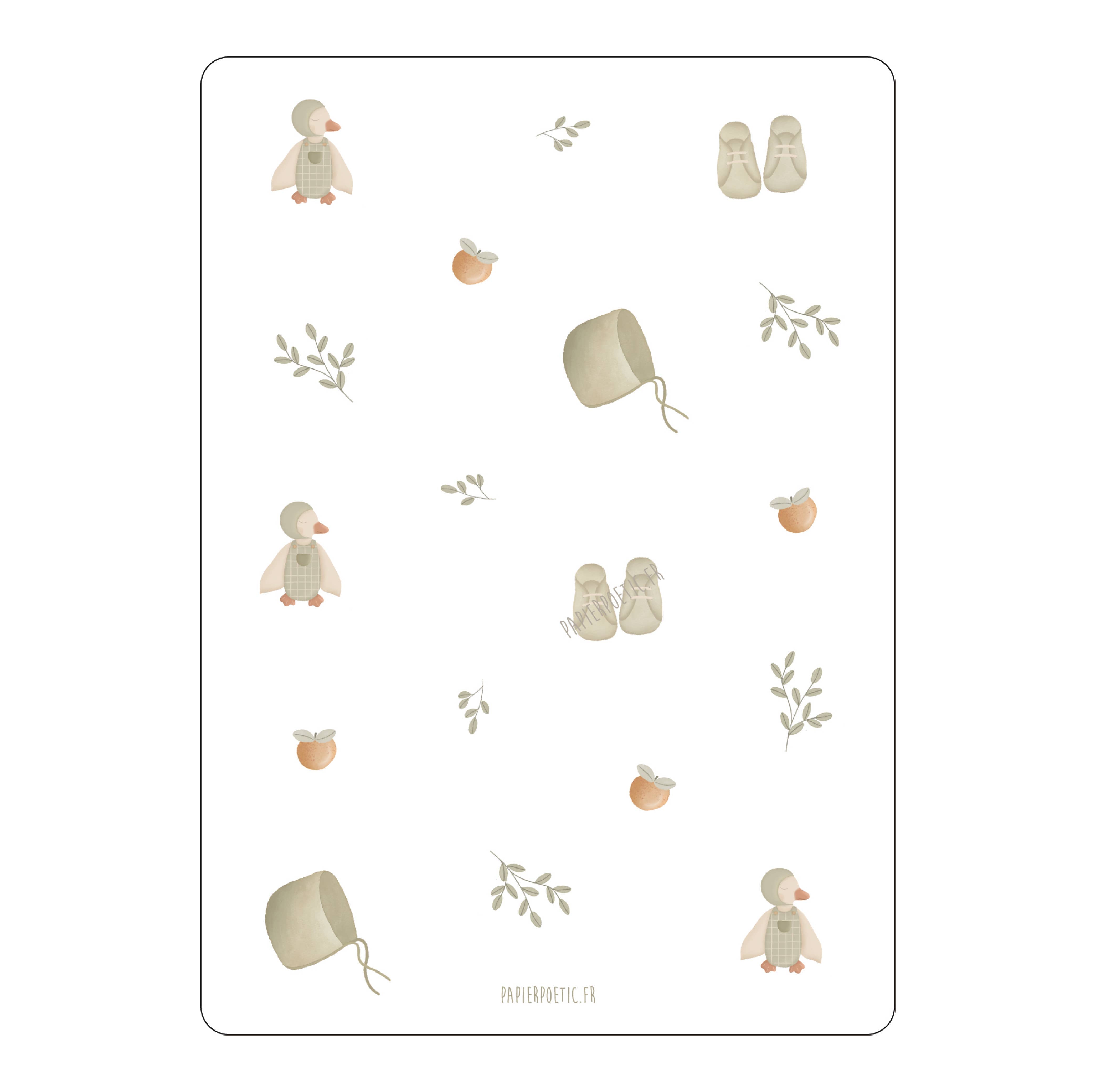 Carte/Card "Naissance Canard Sauge"