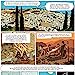 Histoire de Jérusalem, Vincent Lemire (Auteur), Christophe Gaultier (Illustrations)