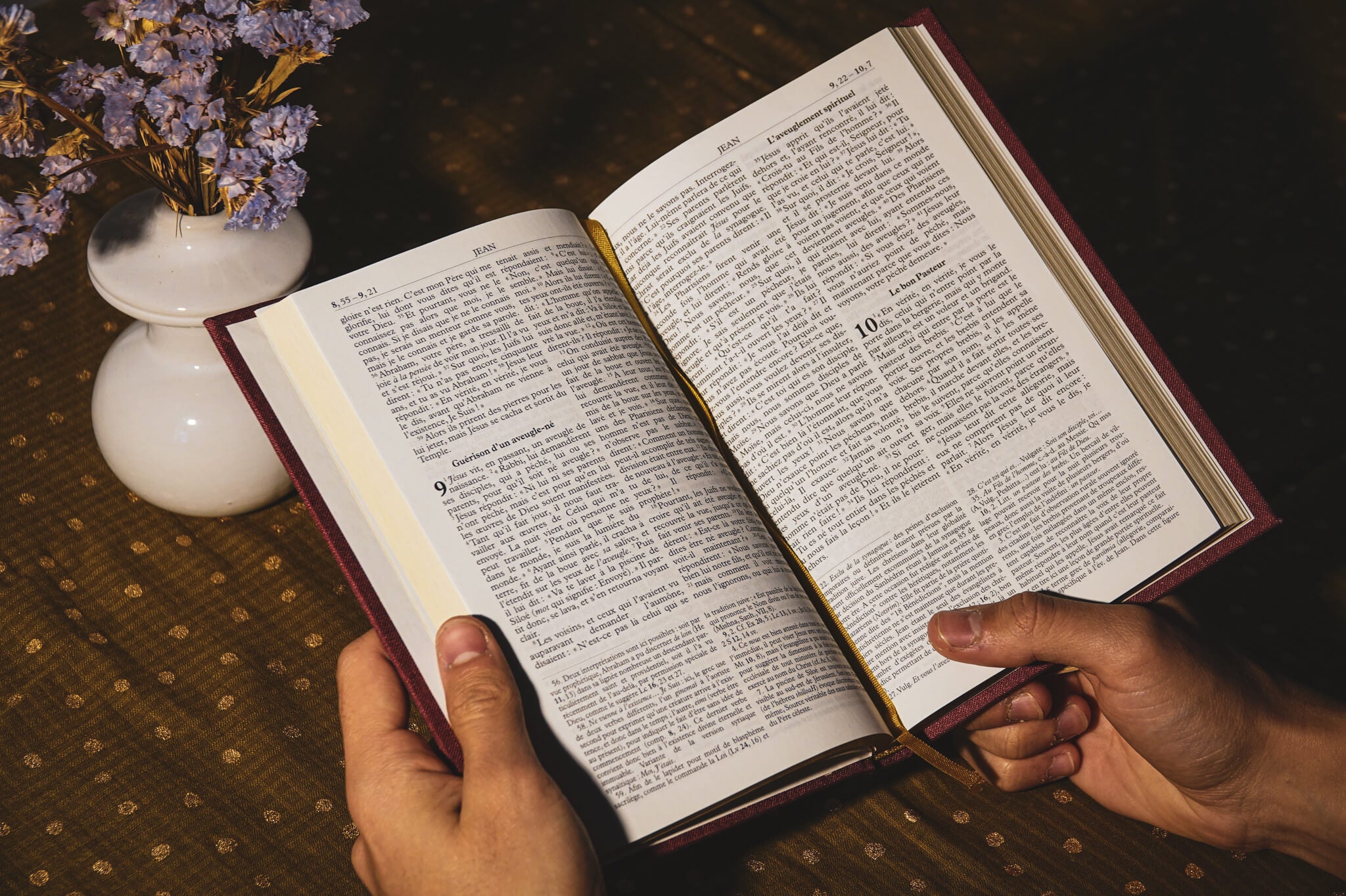 Venez découvrir notre librairie et profitez de ce petit coin lecture