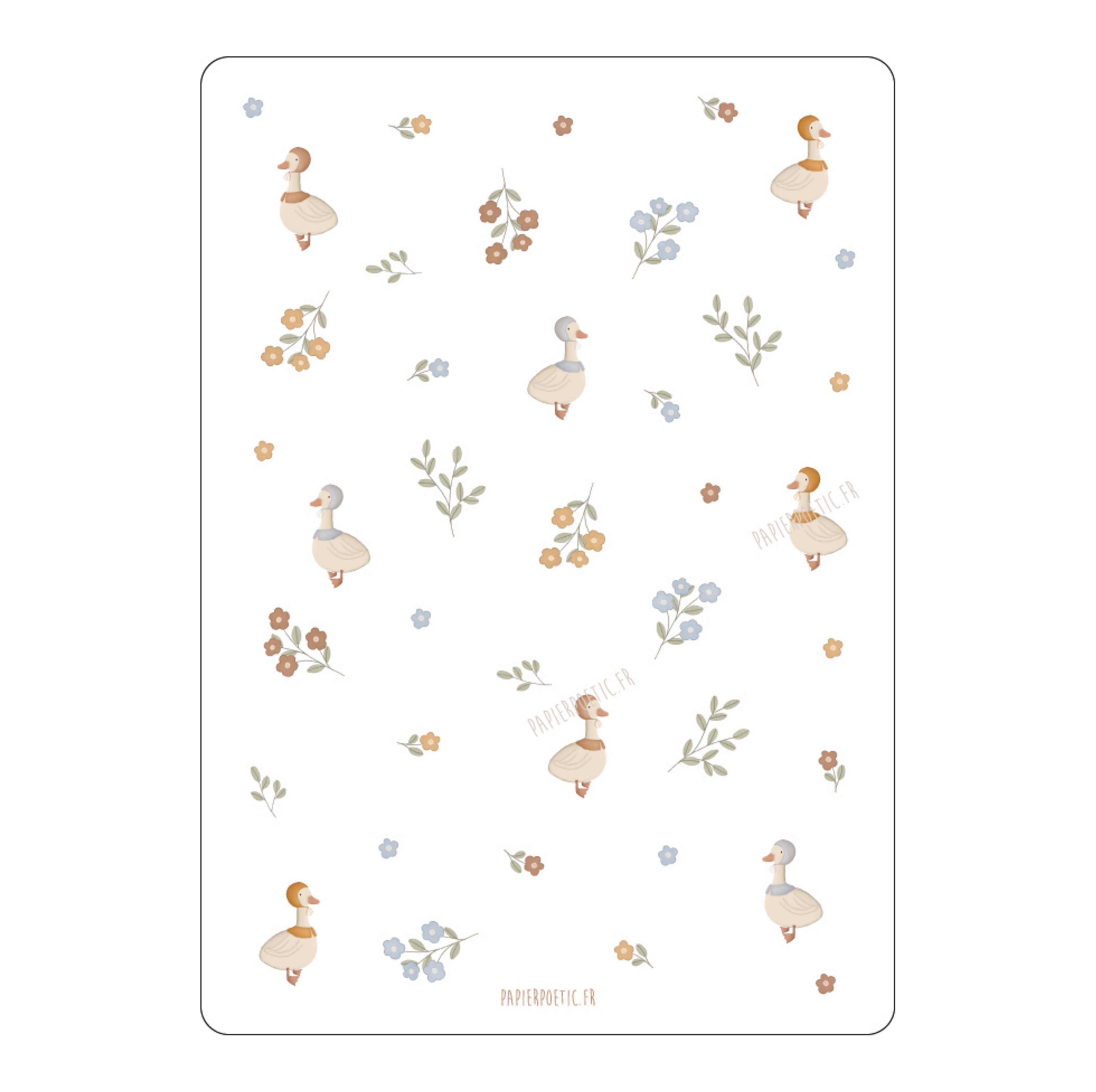 Carte Postale / Card "Canards et Fleurs"